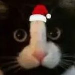 几把猫channel-EoHut 电光小屋